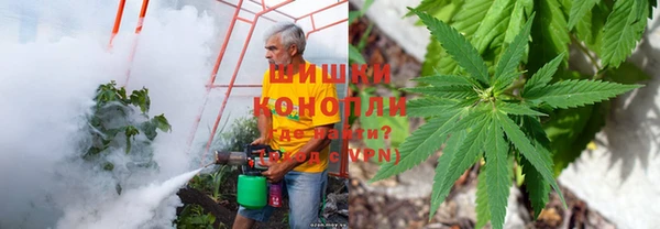 гидра Лихославль