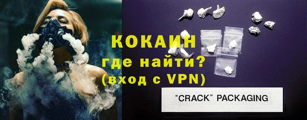 индика Почеп