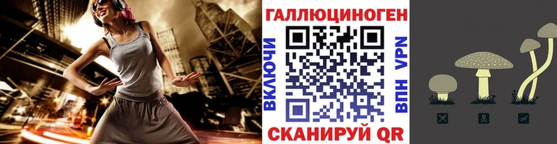Галлюциногенные грибы Magic Shrooms купить цена Юхнов